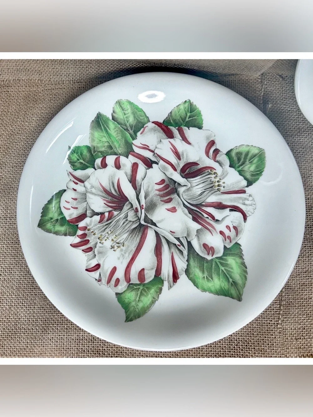 Vintage Johnson Brothers Camellia Floral Dinner Plates Set of 2 Cottagecore